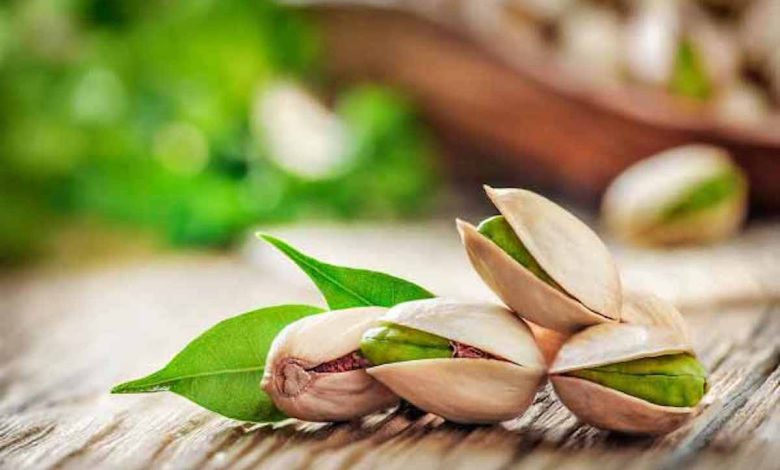 صفر تا صد کاشت پسته داخل گلدان و یا به شکل نهال