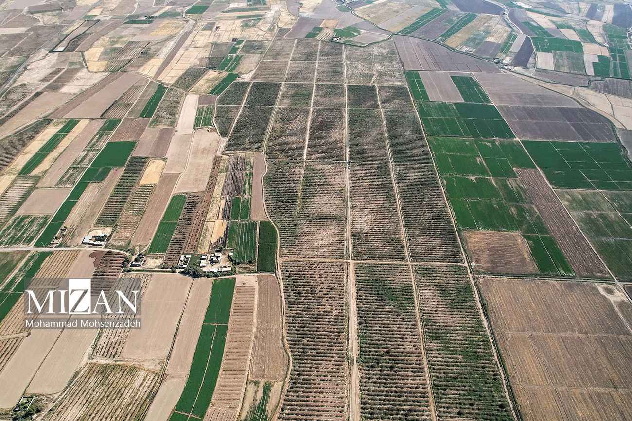 4 روش آبیاری باغ پسته و انتخاب بهترین آن